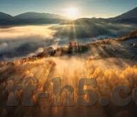 181足球比分直播-揭秘181足球比分直播，实时追踪绿茵激情，打造球迷专属观赛新体验