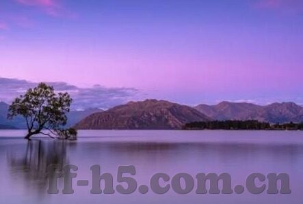宁夏足球比分-宁夏足球比分背后，草根力量如何点燃西北足球希望之火