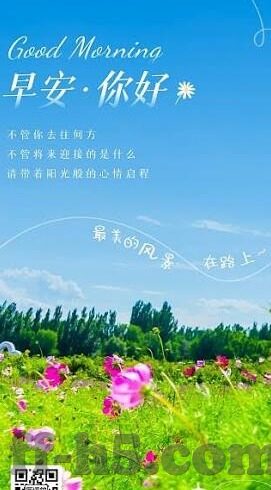 足球比分2020-2020足球比分全回顾，绿茵场上的激情与泪水交织的年度记忆