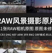 足球比分足球即时比分-足球比分背后的激情与策略，一场比赛的即时脉动解析